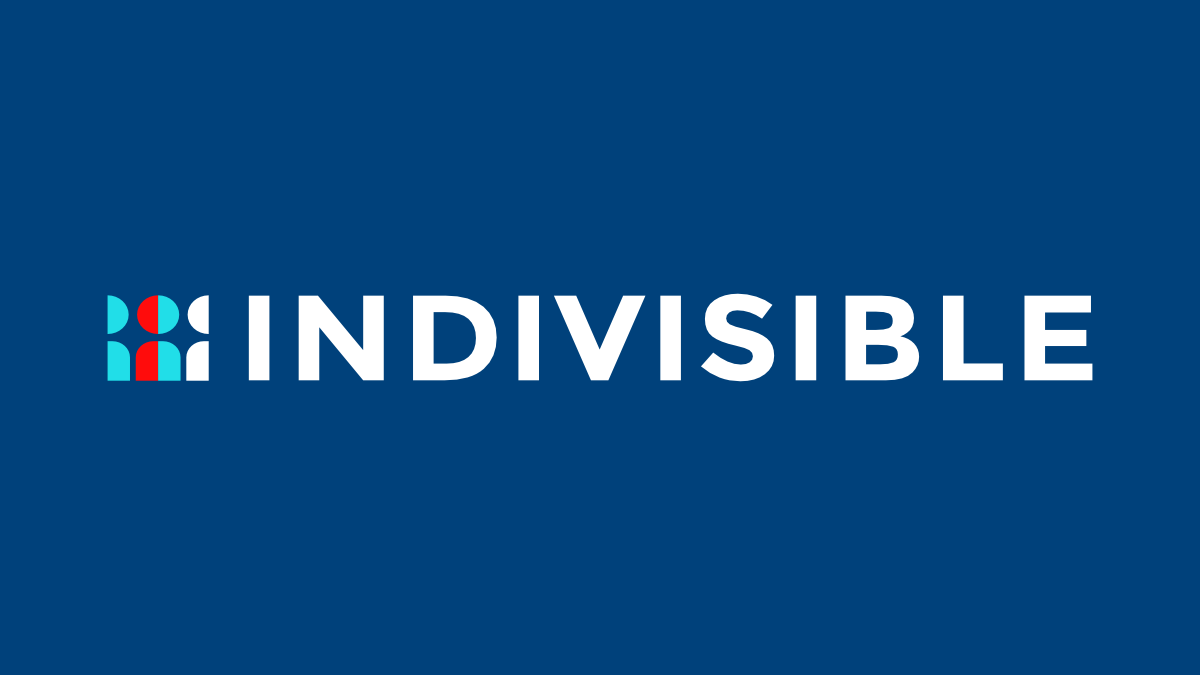 Indivisible - Supreme Court expansion endorsement