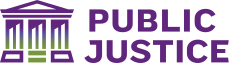 Public Justice - Supreme Court expansion endorsement